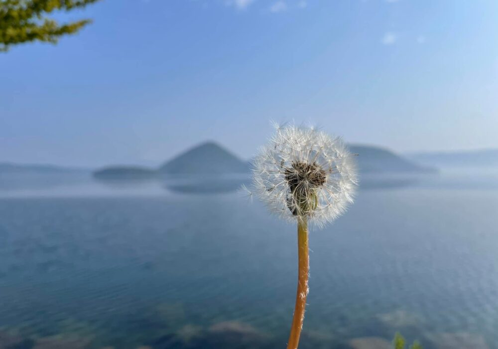 20260320_010538860_iOS