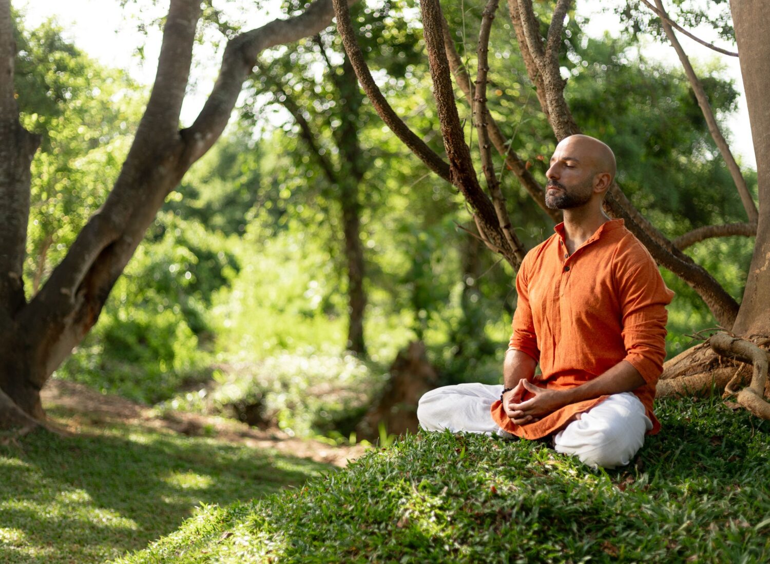 ayugiri-Wellness 4-s