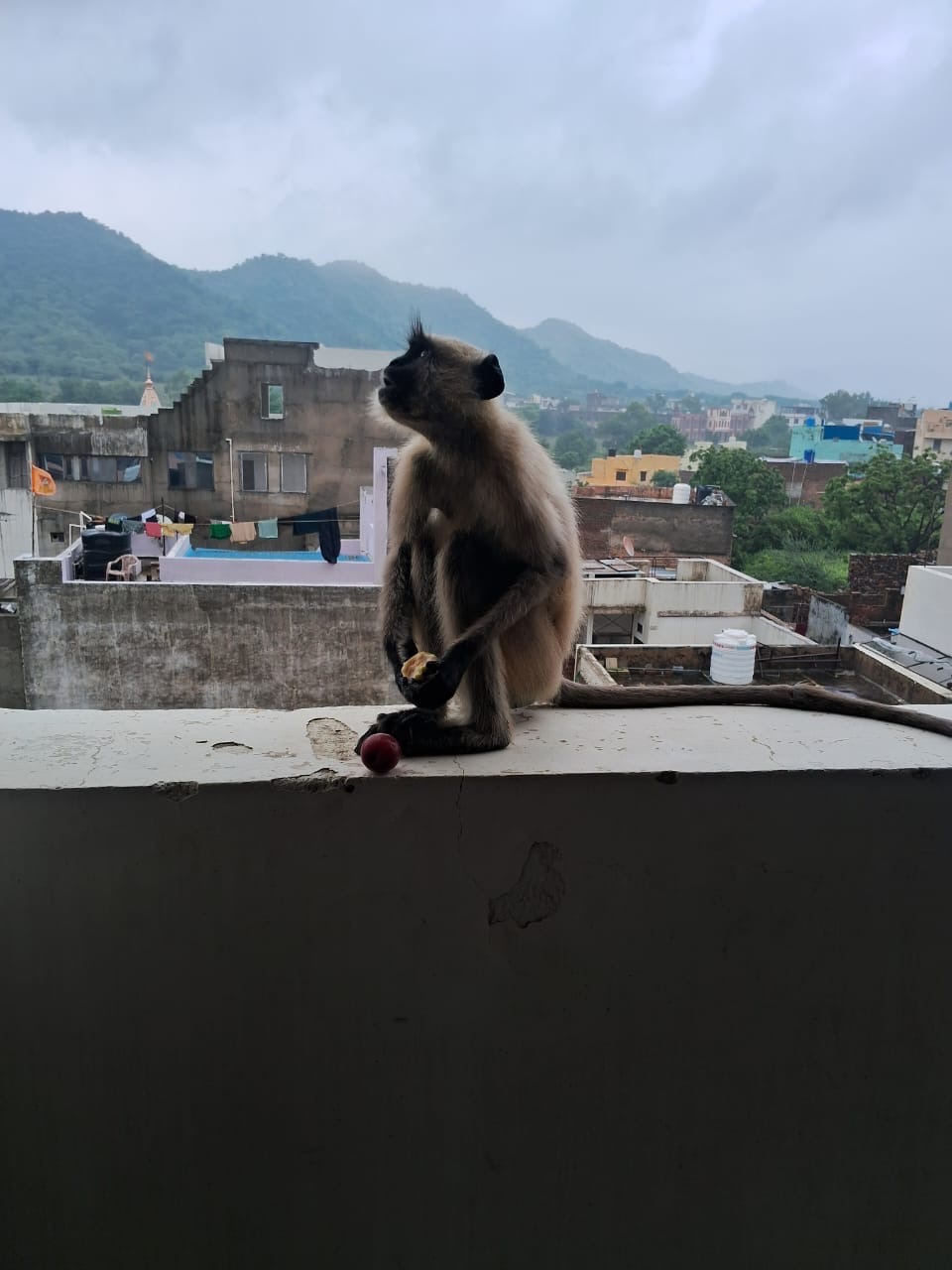 20240924_155628578_iOS